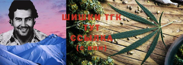 мяу мяу мука Бородино